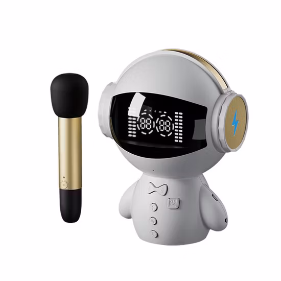 Tw M100 Robot Smart Karaoke Bluetooth Speaker Ai Voice Intercom with Microphone