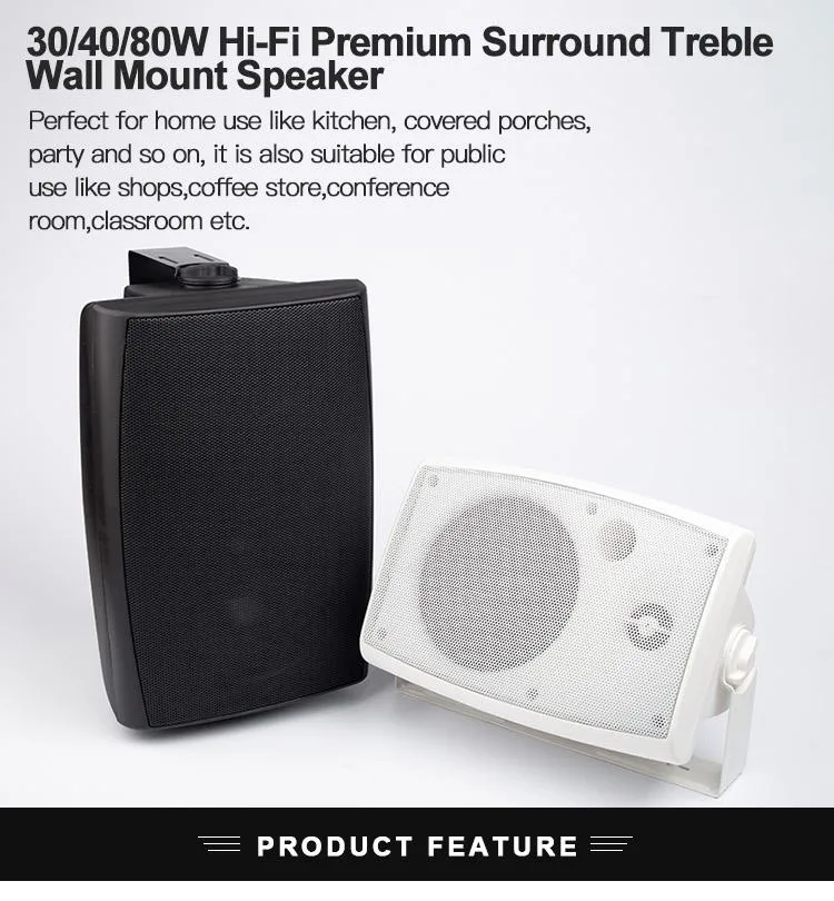 Wall Mount Outdoor Speaker with 100-20000Hz Frequency Response