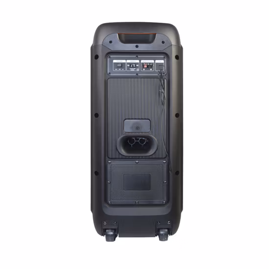Temeisheng novo alto-falante portátil grande sem fio Bluetooth 80W com caixa de festa HiFi